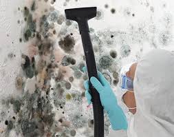 Biohazard Mold Removal in Hoopa, CA